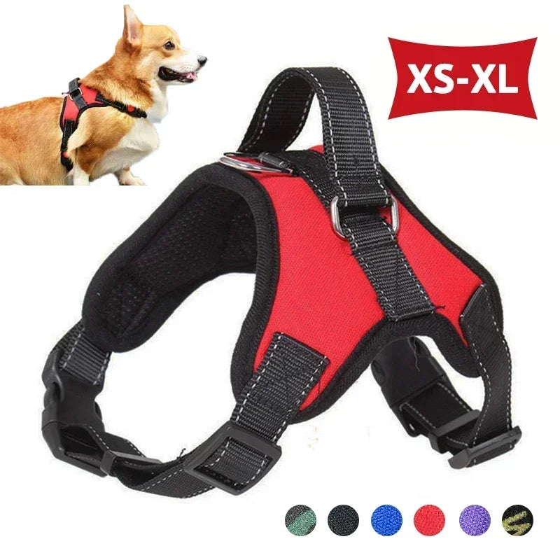 Dog Harness – Reflective & Adjustable